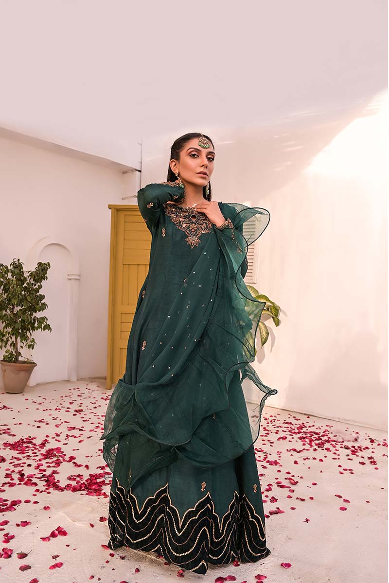 Ameerah Normal organza dupatta with chan and detailing